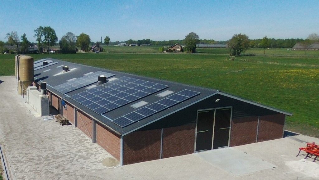 Schuur na veilige asbestsanering door asbestbedrijf in Gelderland met vervangen asbestplaten
