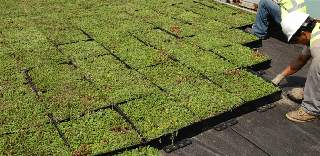 Stap-voor-stap gids voor het zelf aanleggen van een groen dak met sedum