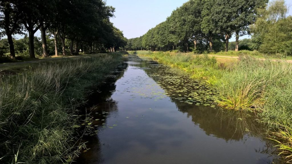 Afbeelding van het artikel over Laatste Nieuws Almelo met informatie over gemeenschapsinitiatieven en toekomstige stadsprojec